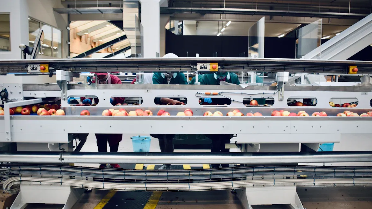 How Conveyor Belt Motors Work in Modern Warehouse Automation