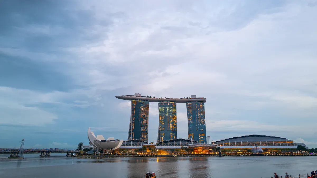 The Challenges in Singapore'
                style=
