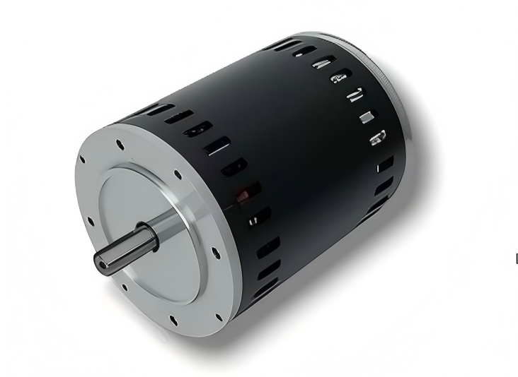 Single-phase AC Induction Motors