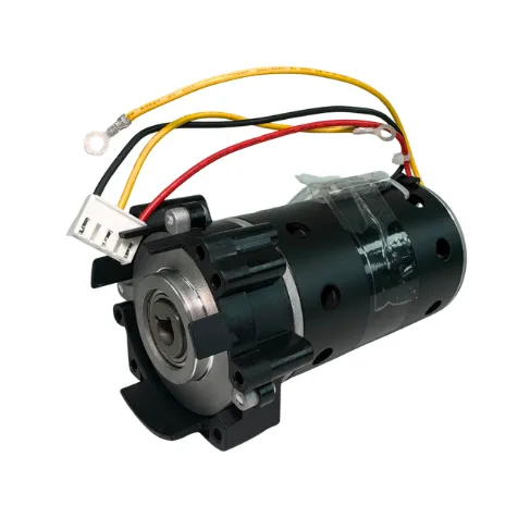 Brushed DC Motor