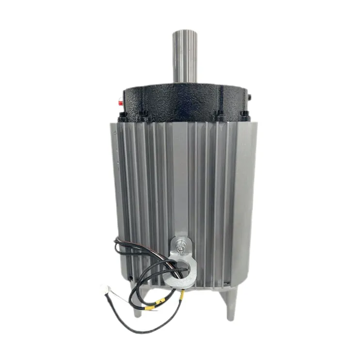 Synchronous Reluctance Motor