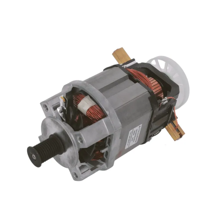 Universal Motor
