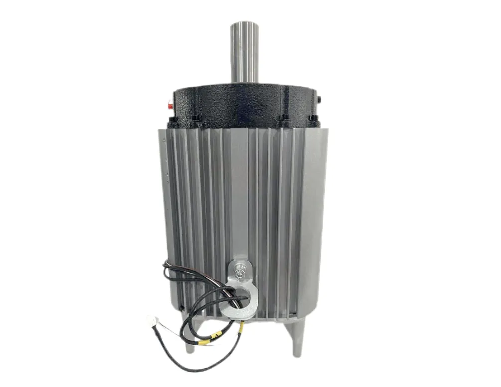 Synchronous Reluctance Motor